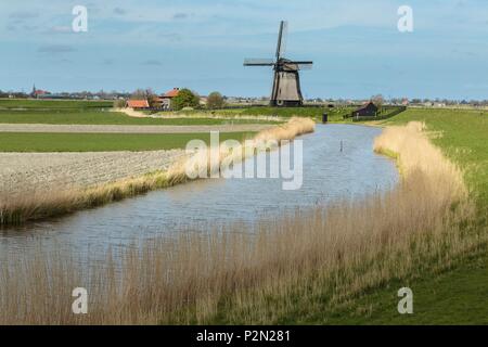 Paesi Bassi Olanda Settentrionale provincia, Mulino nel Beemster Polder elencati come patrimonio mondiale dall' UNESCO Foto Stock