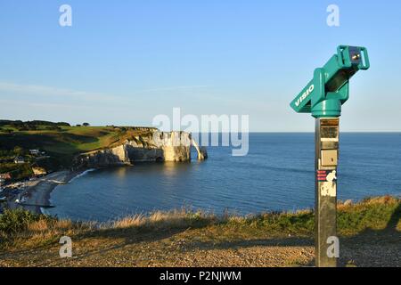Francia, Seine Maritime, Pays de caux, Cote d'Alabastro (costa di alabastro), Etretat, l'Aval cliff, l'arco e la Aiguille (ago) d'Aval Foto Stock
