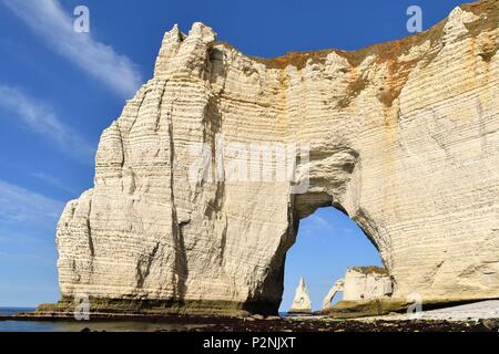 Francia, Seine Maritime, Pays de caux, Cote d'Alabastro (costa di alabastro), Etretat, l'Aval cliff, l'arco e la Aiguille (ago) d'Aval attraverso la scogliera Manneporte Foto Stock