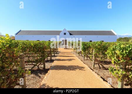 Sud Africa, Western Cape, dominio di Babylonstoren, sulla strada del vino, nel Winelands, vicino a Stellenbosch Foto Stock