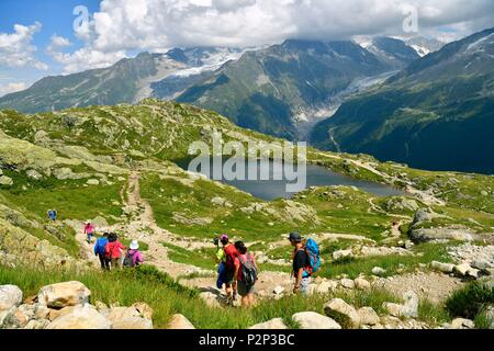 Francia, Haute Savoie, Chamonix Mont Blanc, lac des Cheserys nella riserva naturelle nationale des Aiguilles Rouges (Aiguilles Rouges riserva naturale nazionale) Foto Stock