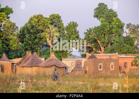 Il Burkina Faso, Regione di Cascades, Tengrela, tradizionali case di fango Foto Stock