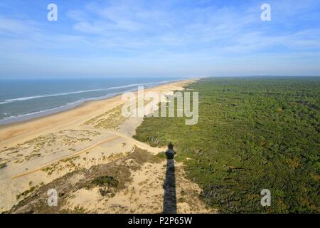 Francia, Charente Maritime, la costa selvaggia, Pointe de La Coubre, La Tremblade, , Le Coubre foresta al Wild Coast, vicino al faro Coubre Foto Stock