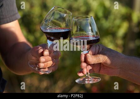 Francia, Ariège, vigneti Coteaux d'Engravies, degustazione con enologo Thomas Piquemal, bicchieri di vino rosso Foto Stock