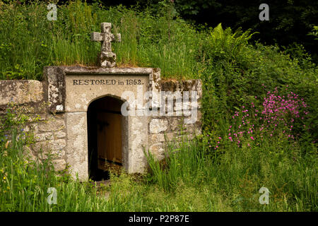 Regno Unito, Cornwall, Bodmin Moor, St Neot, Saint Neot il Pozzo santo nel campo accanto al fiume Loveny Foto Stock