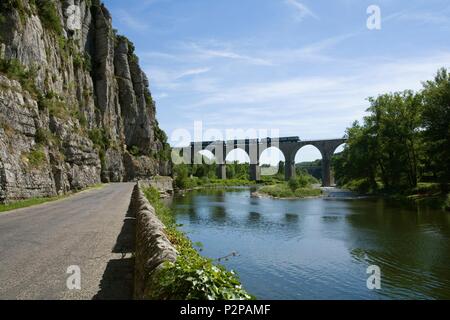 Francia, Ardeche, Vogue, borgo medievale, i più bei villaggi di Francia, vista sul fiume Ardeche e il treno turistico del sud Ardeche sull'acquedotto Foto Stock