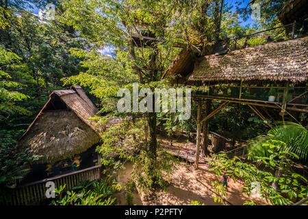 Francia, Guiana francese, Kourou, Camp Canopee, restauro e capanne di appoggio visto da un ponte di sospensione 10 m sopra il suolo Foto Stock