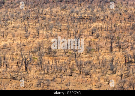 Vista aerea della terraferma, Victoria Falls, Zimbabwe Foto Stock