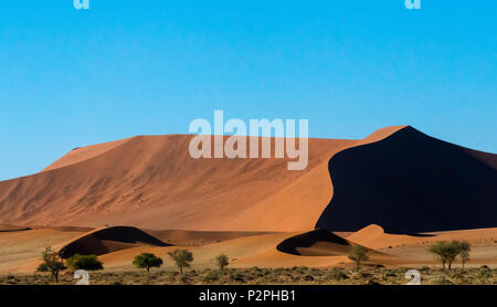 Dune di sabbia 45 nella parte meridionale del deserto del Namib e Sossusvlei, Namib-Naukluft National Park, Regione di Hardap, Namibia Foto Stock