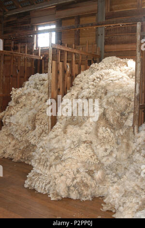 La lana ordinati per categorie di qualita in un capannone di taglio in Australia Occidentale Foto Stock