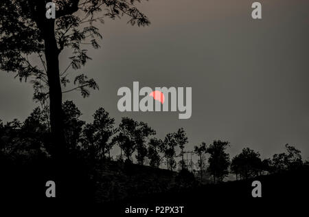 Tramonto rossastro al di sopra del villaggio di Valparai con alberi forestali silhouette. India Foto Stock