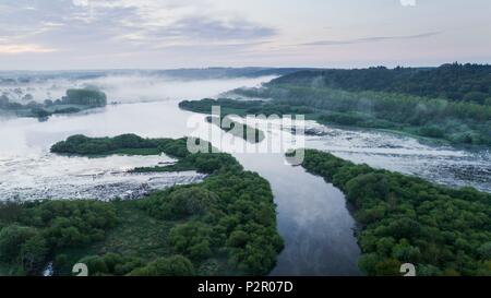 Francia, Morbihan, La Gacilly, Glcnac marsh, antenna paesaggi della palude Foto Stock