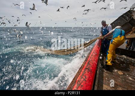 Francia, Herault, Grau d Agde barca, il Mediterranee, Francesco Disanto business, pesca a strascico al largo tra Agde e Port la Nouvelle Foto Stock