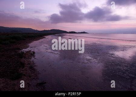 Francia, Aude, peyriac de mer, stagni di Bages Sigean e tra Payriac de mer e Bages Foto Stock