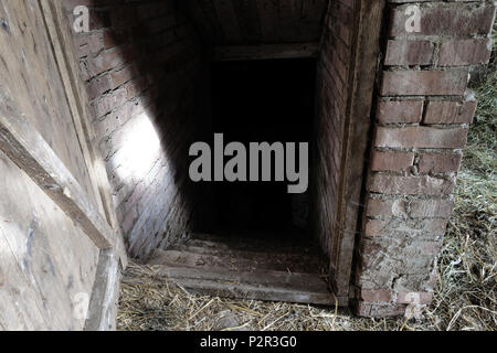 Spooky e spaventoso ingresso scuro al cibo seminterrato di un fienile in campagna Foto Stock