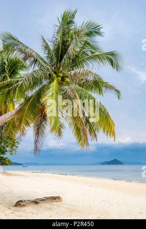Thailandia, provincia di Satun, Mu Ko Phetra il Parco Marino Nazionale, Ko Bulon Leh island, la grande spiaggia di sabbia bianca a est dell'isola Foto Stock