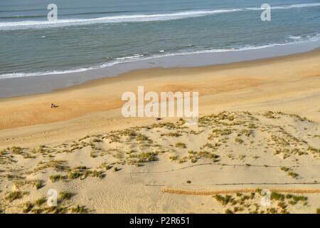 Francia, Charente Maritime, la costa selvaggia, Pointe de La Coubre, La Tremblade, la costa selvaggia spiaggia, vicino al faro Coubre Foto Stock