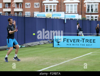 Queens Club di Londra, Regno Unito. 16 Giugno, 2018. La classica struttura i campionati di tennis; Andy Murray (GBR) durante una sessione di pratica sulla corte sette dopo il successo della chirurgia dell'anca due giorni prima di competere contro il mondo numero 24 Nick Kyrgios (AUS) Credito: Azione Sport Plus/Alamy Live News Foto Stock