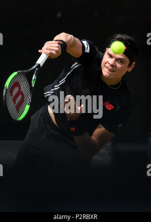 Stoccarda, Deutschland. 16 Giugno, 2018. Semifinali individuali: Milos Raonic (CAN). GES/tennis/ATP: MercedesCup, 16.06.2018 tennis ATP: MercedesCup di Stoccarda, giugno 16, 2018 - | Utilizzo di credito in tutto il mondo: dpa/Alamy Live News Foto Stock