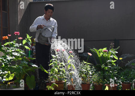 (180616) -- NINGBO, Giugno 16, 2018 (Xinhua) -- abitante Zhang Guoqing acque fiori nella sua locanda nel villaggio di Sanshan Beilun del distretto di Ningbo, Cina orientale della provincia di Zhejiang, 14 giugno 2018. Trasformata da un villaggio di pescatori, Beilun sta diventando un costiere area urbana con la porta dell'industria. Ningbo lo Sviluppo Economico e Tecnologico della Zona di Ningbo, zona di libero commercio, Ningbo Daxie per lo sviluppo della zona, Ningbo Export Processing Zone e Ningbo Meishan area saldata si trovano in Beilun. Il cargo throughput di Ningbo Port Zhoushan, con Beilun porta come la sua anima, ha classificato al primo in un continuo di nove anni Foto Stock