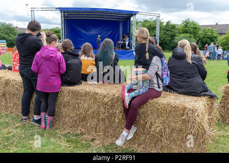 Grande Sankey, Cheshire, Inghilterra, Regno Unito. 16 Giugno 2018 - e per il divertimento di tutta la famiglia giorno al grande Sankey, Cheshire, Inghilterra, UK Credit: John Hopkins/Alamy Live News Foto Stock