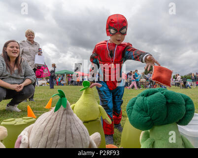 Grande Sankey, Cheshire, Inghilterra, Regno Unito. 16 Giugno 2018 - e per il divertimento di tutta la famiglia giorno al grande Sankey, Cheshire, Inghilterra, UK Credit: John Hopkins/Alamy Live News Foto Stock