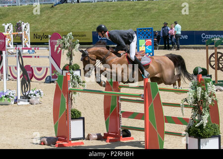 Bolesworth, Cheshire, Regno Unito. Xvi Jun, 2018. Visualizza il ponticello si Edwards cavalcare Shw caramelle B (Concorrenza S14-CS12 Grand Prix) all'Scudiero Bolesworth International Horse Show. Credito/MediaWorldImages AlamyLiveNews. Foto Stock