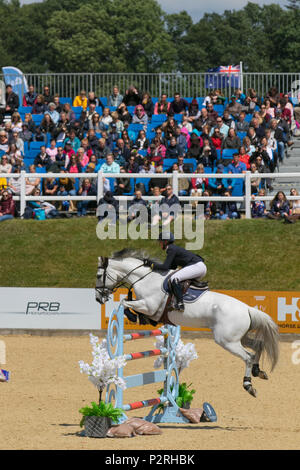 Bolesworth, Cheshire, Regno Unito. Xvi Jun, 2018. (Concorrenza S14-CS12 Grand Prix). Cavallo, recinzione, equestre, animale, sport, concorrenza, jump, equine, pilota, show, ostacolo, ostacolo, cavallo, evento stallone, campione, jumping, jockey, equitazione, equitazione, il cavaliere, arena all'Scudiero Bolesworth International Horse Show. Credito/MediaWorldImages AlamyLiveNews. Foto Stock