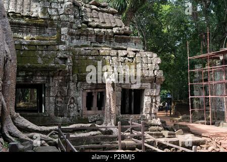 La Cambogia Siem Raep, Angkor, Tempio di Ta Prohm Foto Stock