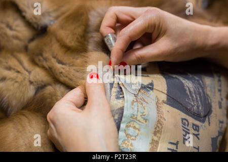 Professional sarto, designer riparazione di pelliccia all'atelier, studio. La moda e la sartoria concept Foto Stock
