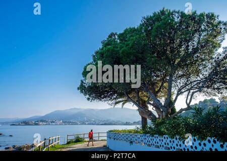 In Spagna, in Catalogna, escursionismo da Cerbere in Francia di Llança in Spagna sulla GR 92 e percorso europeo E 12, Llança, Canyelles beach Foto Stock