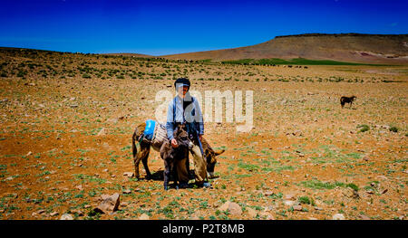 Un pastore con i suoi asini cercando dopo un gregge di capre e pecore in Atlas Mountains, Marocco Foto Stock