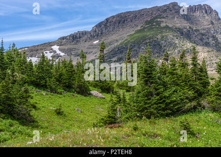 Montare Oberlin a Logan pass della zona del Parco Nazionale di Glacier nel Montana. Foto Stock