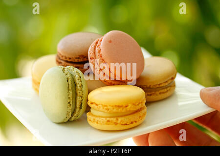 Macarons. Foto Stock