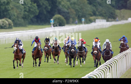 Mister Belvdere (sinistra) cavalcato da Sophie Dods vince la Regina madre's Cup, durante la Macmillan carità Raceday a York Racecourse. Foto Stock