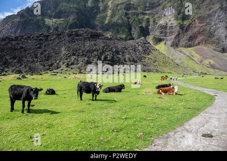 Tristan da Cunha, i territori britannici d'Oltremare, Sud Atlantico Foto Stock