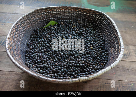 La paglia cesto pieno di prodotti freschi acai bacche di vendere a un equo nella città di Belem, Brasile. Foto Stock