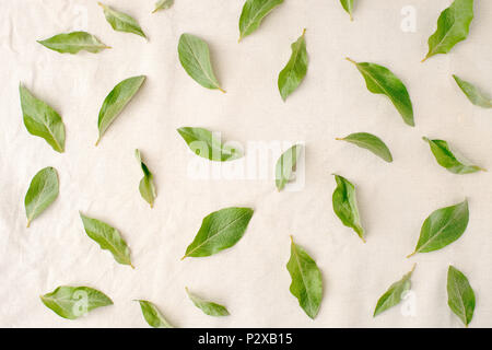 Composizione di fiori. Modello realizzato di foglie verdi sul tessuto bianco sullo sfondo. Appartamento laico, vista dall'alto. Foto Stock