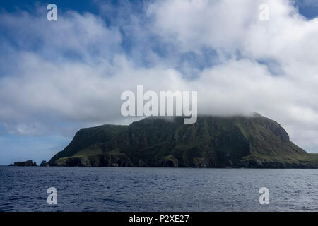 Nightingale Island, Tristan da Cunha arcipelago, i territori britannici d'Oltremare, Sud Atlantico Foto Stock