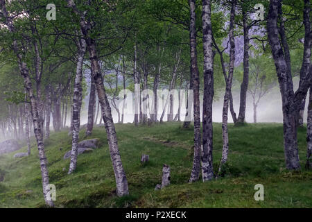 La bellissima natura della Norvegia paesaggio naturale. Antenna. Foto Stock