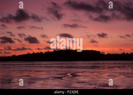 Tramonto a nord di Slough, Oregon Dunes National Recreation Area, Oregon Foto Stock