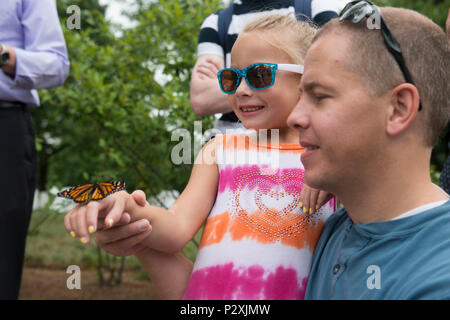 Durante un rilascio di Monarch Butterfly al cimitero nazionale di Arlington il 9 agosto 2016, bambini e volontari della Monarch Teacher Network hanno partecipato alla cerimonia di rilascio. Il cimitero coltiva vari tipi di alghe locali per sostenere la riproduzione delle farfalle Monarch e la deposizione delle uova. L'evento promuove la consapevolezza ambientale, l'educazione alla conservazione e l'impegno pubblico, sottolineando l'importanza ecologica degli impollinatori negli ecosistemi locali. Foto Stock