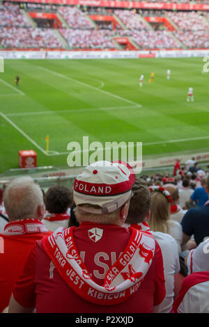 Polacco per gli appassionati di calcio a PGE Narodowy, polacco dello Stadio Nazionale di Varsavia, Polonia Foto Stock