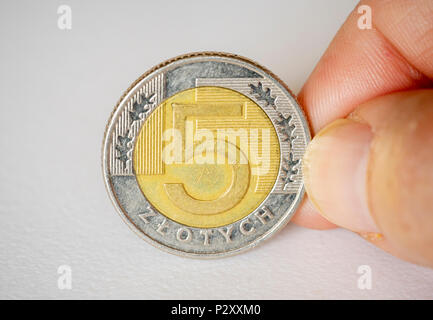 A cinque zloty moneta, valuta polacca close up Foto Stock