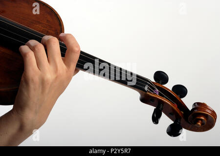 Viola, close-up della mano sinistra sul srings Foto Stock