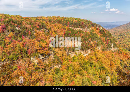 I colori dell'autunno a Cloudland Canyon State Park, Georgia, Stati Uniti d'America Foto Stock