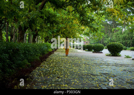 Una bambina corre sotto Sonalu o Golden Shower tree a Jatiya Sangsad Bhaban locali a Dhaka. Dacca in Bangladesh Foto Stock