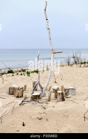 Logs posto intorno ad un magazzino nella sabbia al Cape Cod National Seashore, Massachusetts, STATI UNITI D'AMERICA Foto Stock