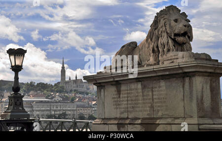 Lion scultura su Széchenyi il Ponte della Catena, Ungheria, Budapest, Europa Foto Stock