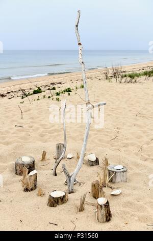 Logs posto intorno ad un magazzino nella sabbia al Cape Cod National Seashore, Massachusetts, STATI UNITI D'AMERICA Foto Stock